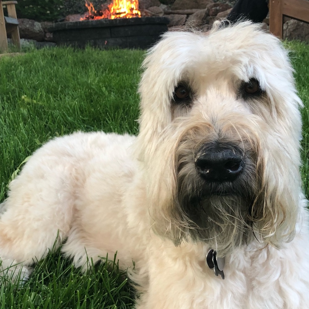 Meet your Posher, Madi